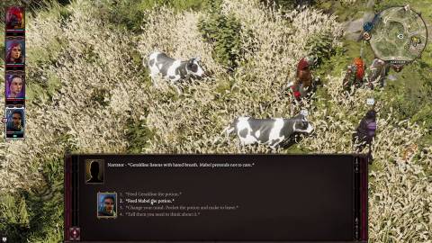 treated like cattle cure mabel divinity original sin 2