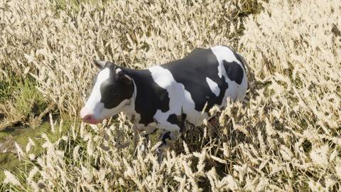 treated like cattle divinity original sin 2 dos2