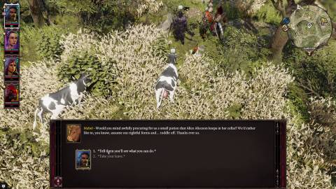 treated like cattle divinity original sin 2