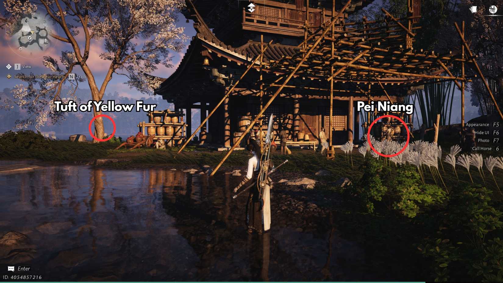 tuft of yellow fur the stolen first jar wine pei niang where winds meet