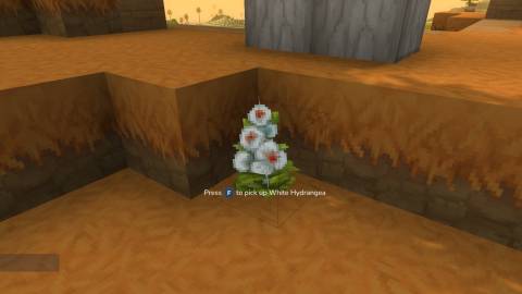 white hydragnea white petal hytale