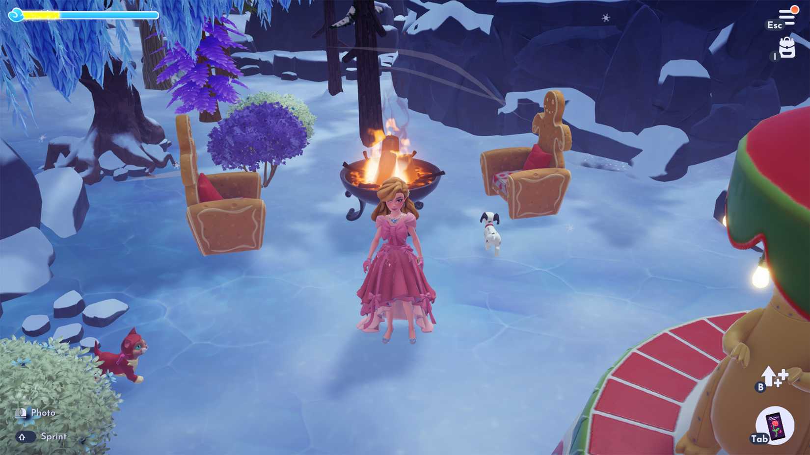 winter flaoting festival memory treasure location in ddv