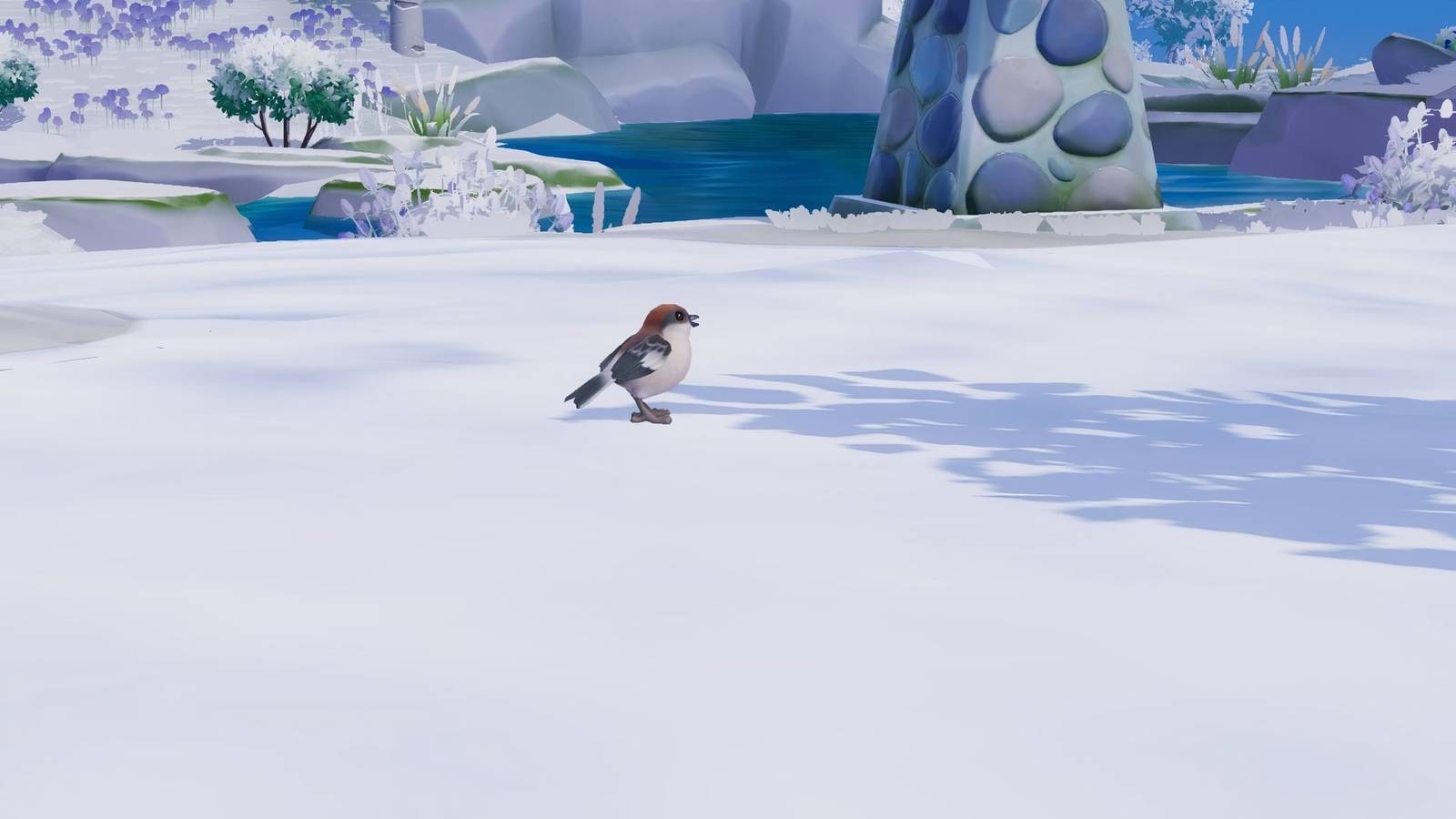 Woodchat Shrike Location in Heartopia