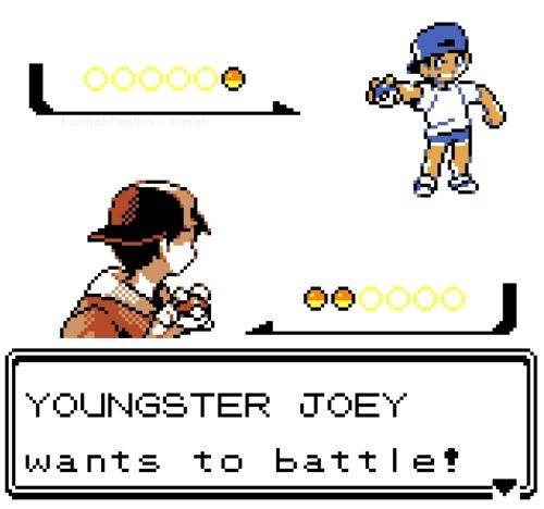 youngster joey