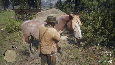 Red Dead redemption 2 patting horse