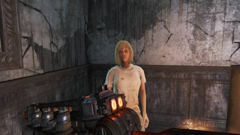 FO4 Shelly Tiller