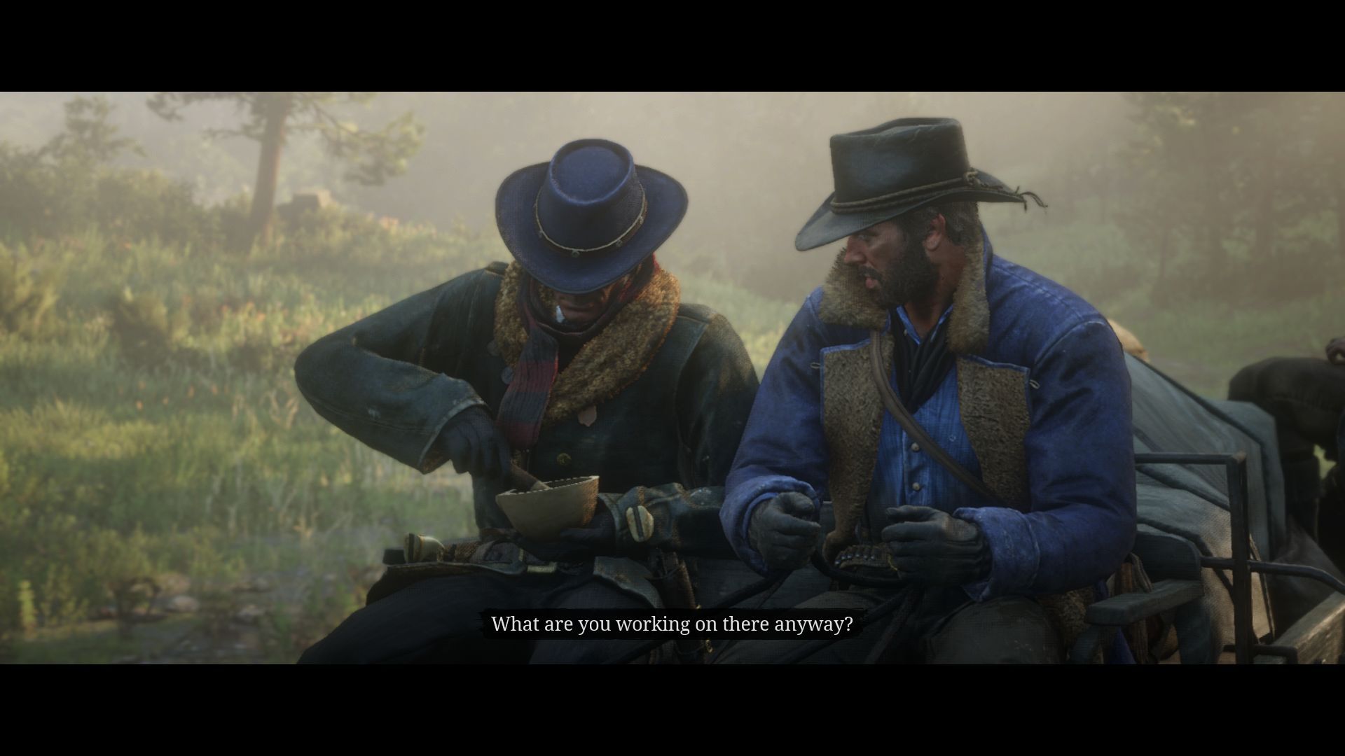 Red dead redemption 2 Hosea medicine