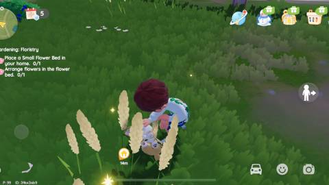 adopting a dog heartopia