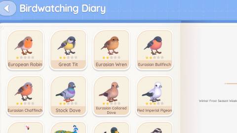 All Birds in Heartopia