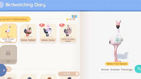 All Winter Birds in Heartopia