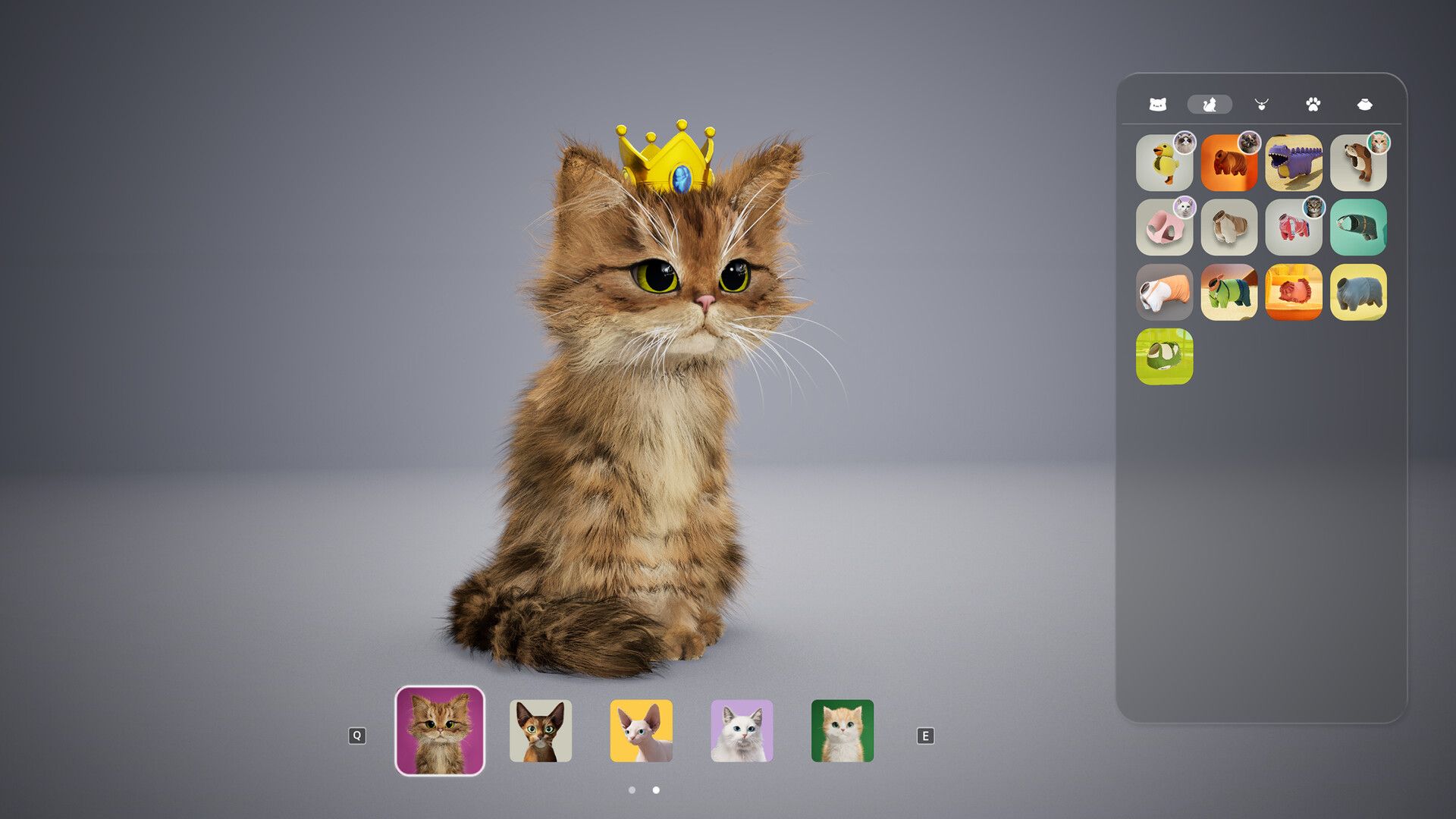 Catly News, Trailer, Guides, and More