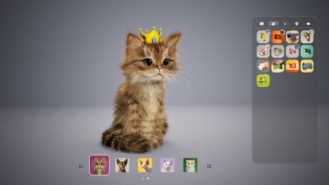 Catly News, Trailer, Guides, and More