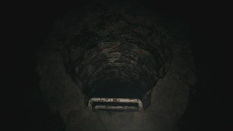 climb down the ladder