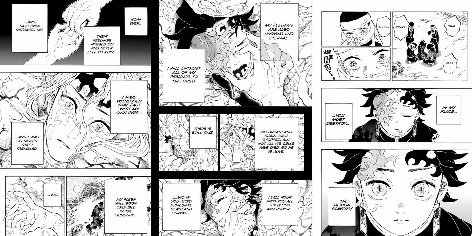 demon-slayer-tanjiro-demon