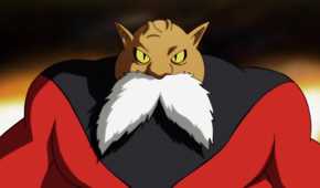 dragon-ball-quiz-13-toppo