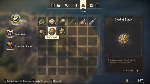 Dragon Quest 7 Seeds to increase stats-1