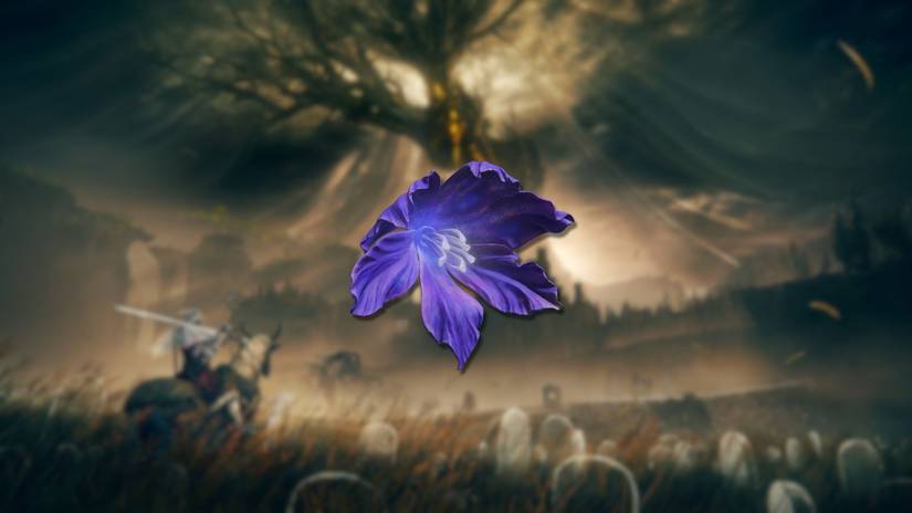 Elden Ring St. Trina