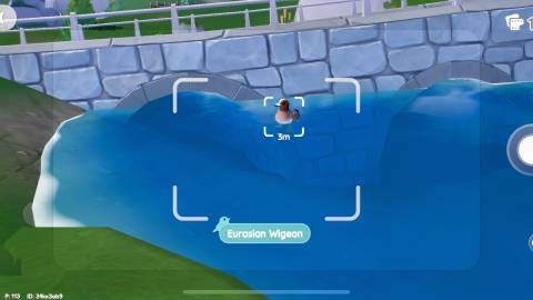 eurasian wigeon location heartopia 