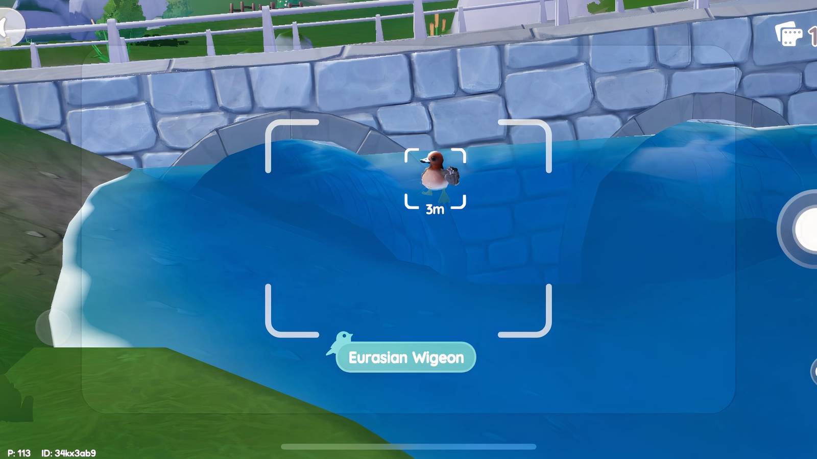 eurasian wigeon location heartopia 