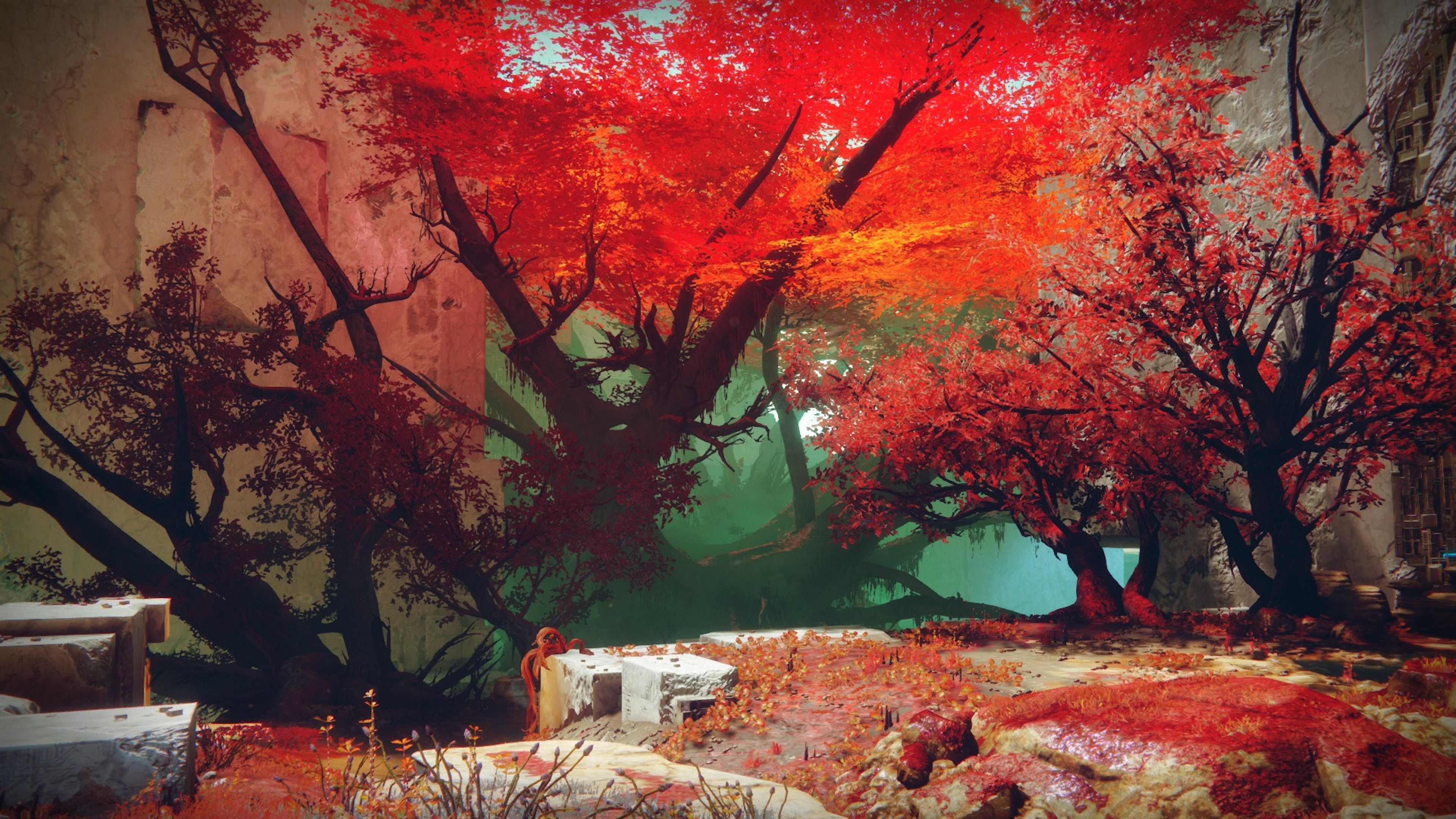 Exploring a colorful forest in Destiny 2 (PS5)