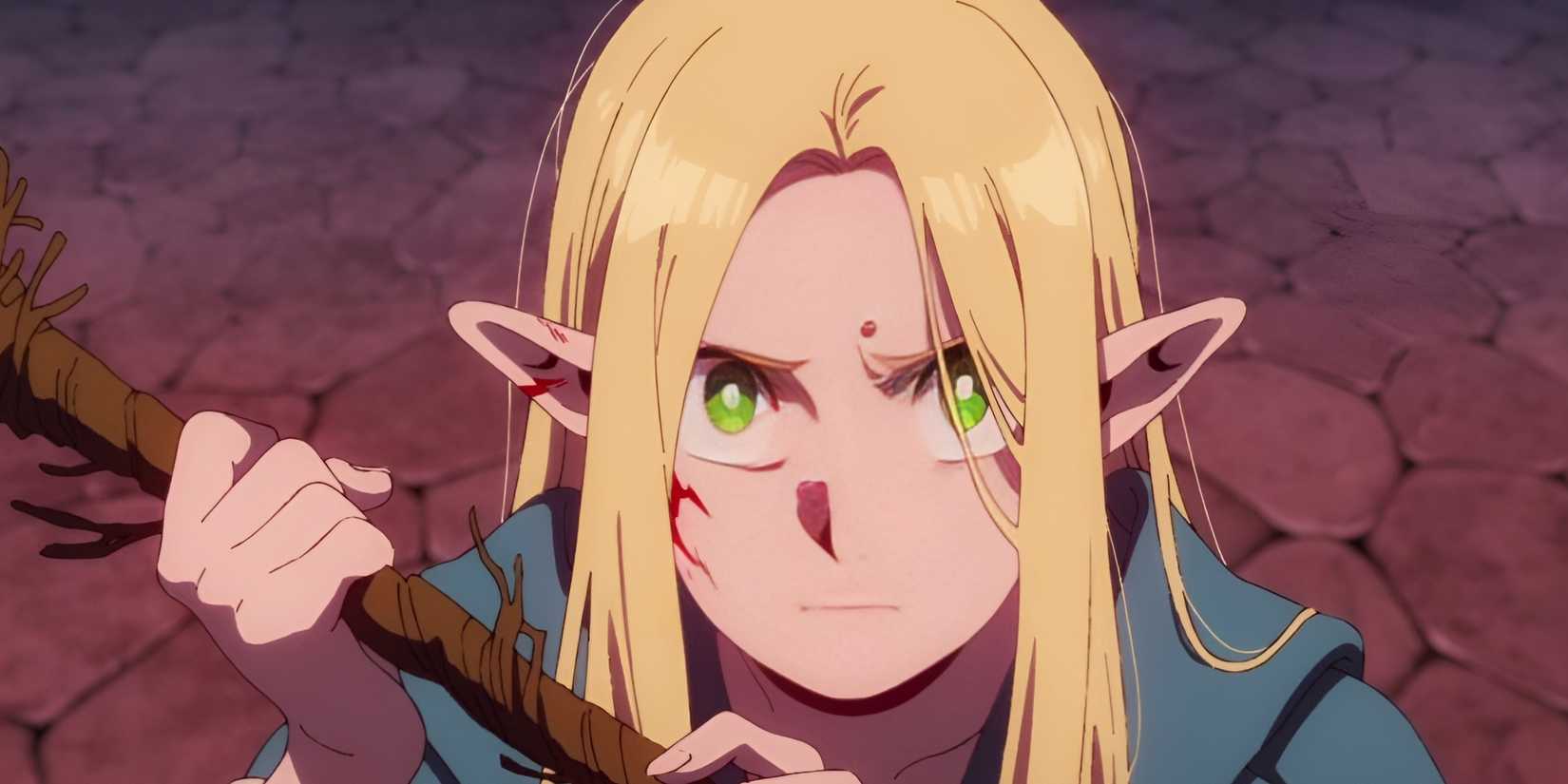 marcille leaks in the dungeon Anime MC's Better Written Frieren