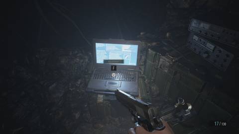 File #33 – Analysis Results