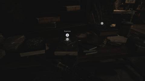 File #43 – Dimitrescu's Medical Report (2)