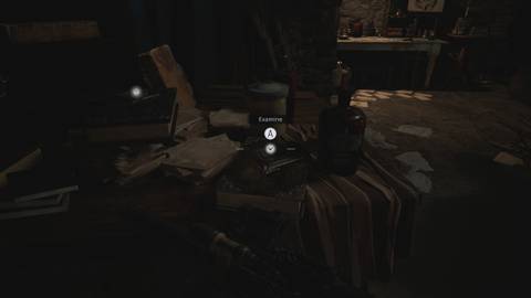 File #45 – Donna's Medical Report (2)