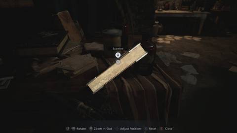 File #45 – Donna's Medical Report