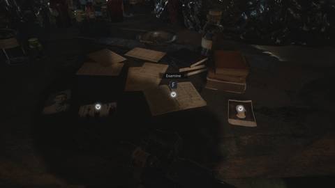 File #47 – Miranda's Diary 