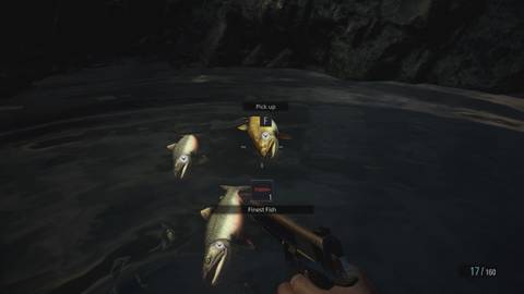 finest fish location-1