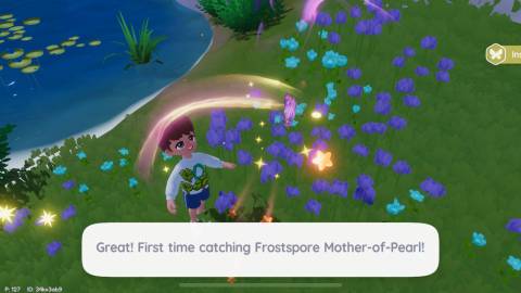 frostpore butterfly heartopia