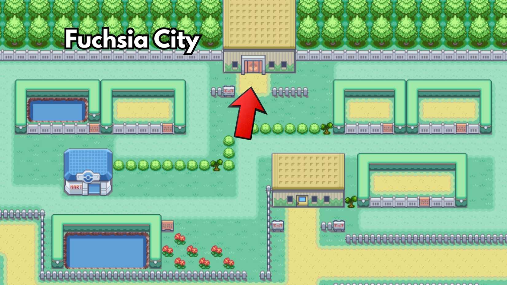 Fuchsia City safari zone in pokemon firered leafgreen