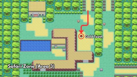 Gold Teeth location safari zone in pokemon firered leafgreen