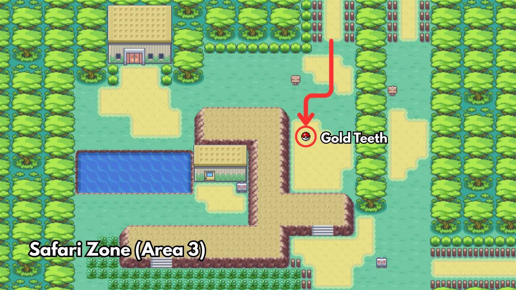 Gold Teeth location safari zone in pokemon firered leafgreen