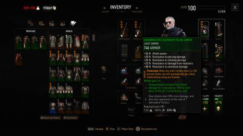 Grandmaster Legendary Feline Armor, Witcher 3-1 (1)