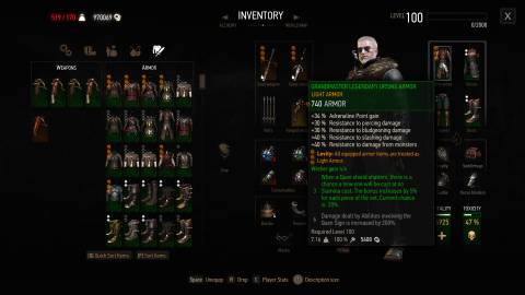 Grandmaster Legendary Ursine Armor, Witcher 3-1 (1)