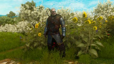 Grandmaster Legendary Ursine Armor, Witcher 3 (1)