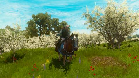 Grandmaster Legendary Ursine Armor, Witcher 3 (2)
