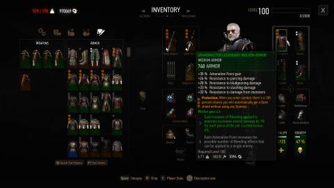 Grandmaster Legendary Wolven Armor, Witcher 3-1 (1)