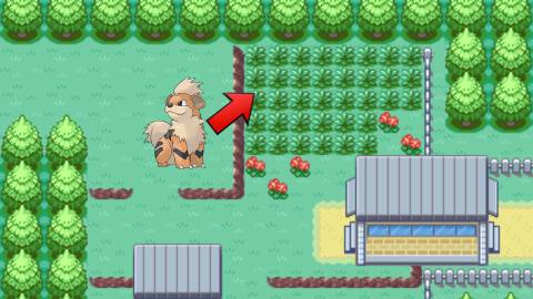 growlithe location in pokemon firered leafgreen (2)