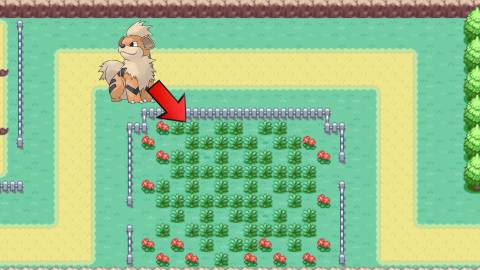 growlithe location in pokemon firered leafgreen