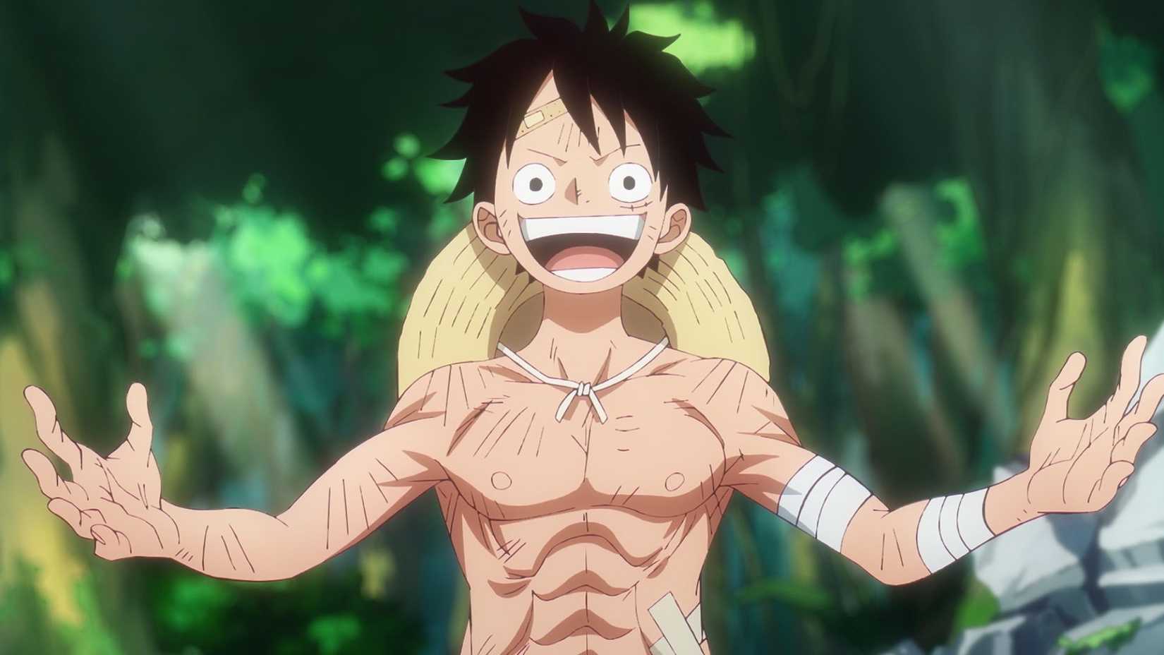 Luffy Next Haki Upgrade Observation Killing one piece