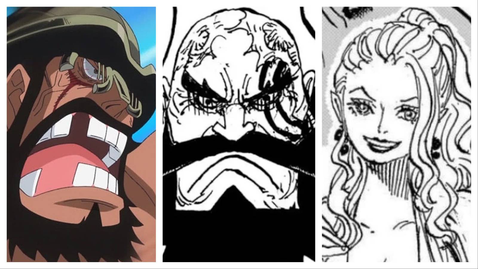 Hajrudin, harald, estrid