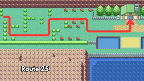 hm cut bill s.s. ticket pokemon firered leafgreen (3)