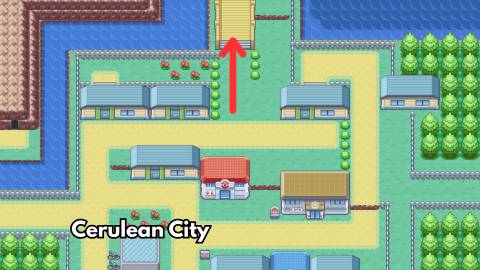 hm cut bill s.s. ticket pokemon firered leafgreen