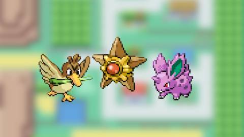 HM Slaves Combination for Pokemon LeafGreen