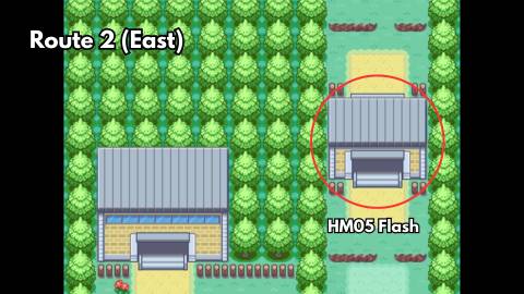 HM05 Flash location in pokemon firered leafgreen (2)