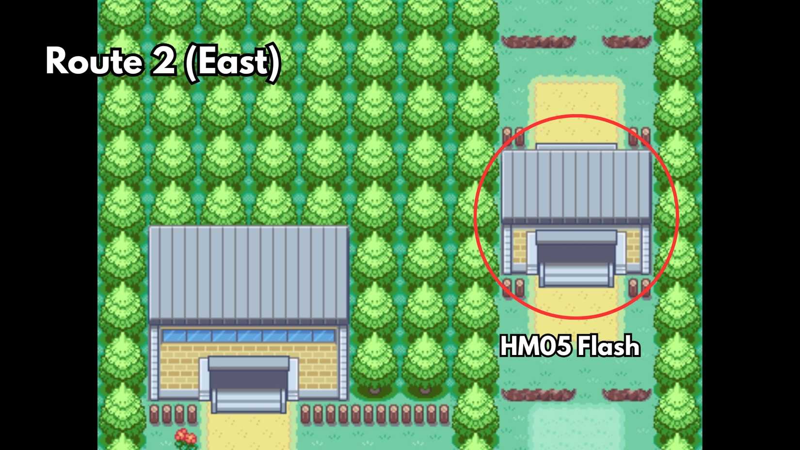 HM05 Flash location in pokemon firered leafgreen (2)