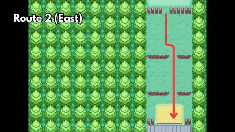 HM05 Flash location in pokemon firered leafgreen (3)